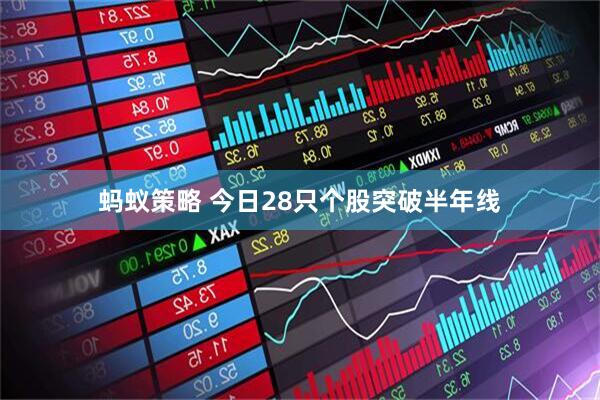 蚂蚁策略 今日28只个股突破半年线