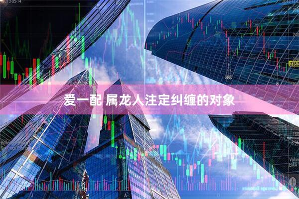 爱一配 属龙人注定纠缠的对象