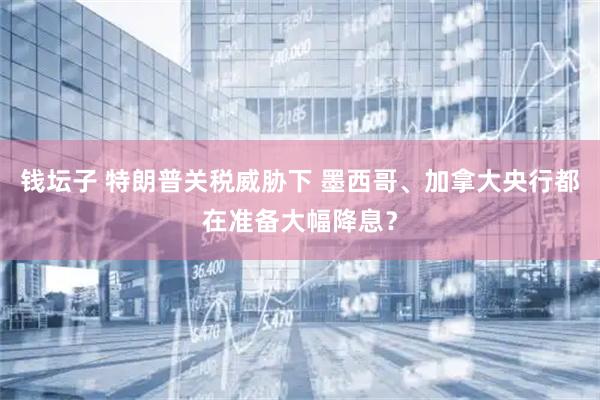钱坛子 特朗普关税威胁下 墨西哥、加拿大央行都在准备大幅降息？