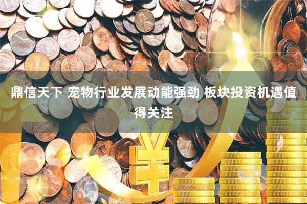 鼎信天下 宠物行业发展动能强劲 板块投资机遇值得关注