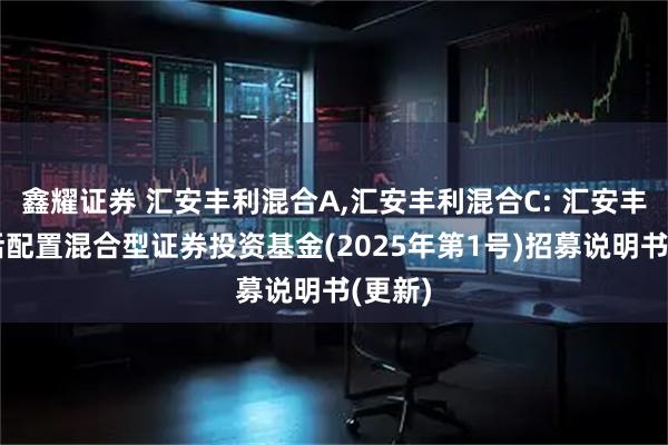 鑫耀证券 汇安丰利混合A,汇安丰利混合C: 汇安丰利灵活配置混合型证券投资基金(2025年第1号)招募说明书(更新)