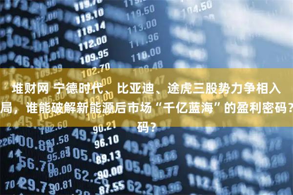 堆财网 宁德时代、比亚迪、途虎三股势力争相入局,谁能破解新能源后市场“千亿蓝海”的盈利密码?